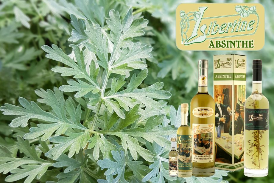 absinthe libertine