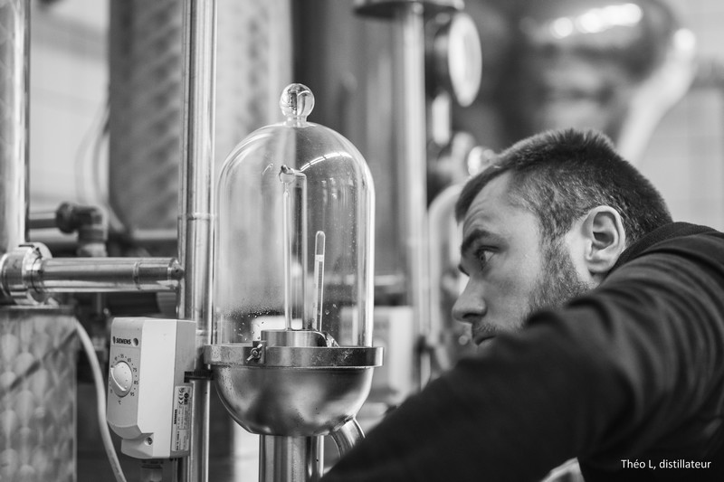 distillation dans nos alambics de cuivre