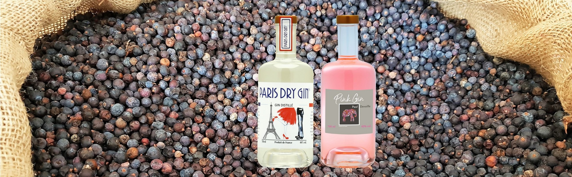 gins de la Distillerie Paul Devoille