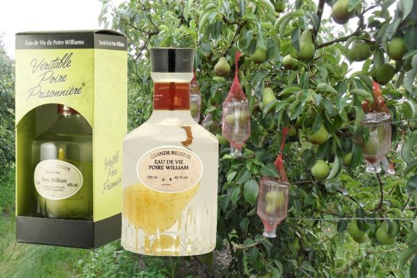 Poire Prisonnière Distillerie Paul Devoille